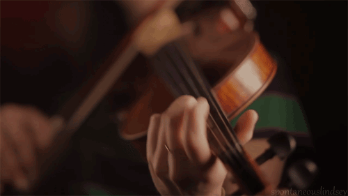 Organología de la música clásica: la cuerda.