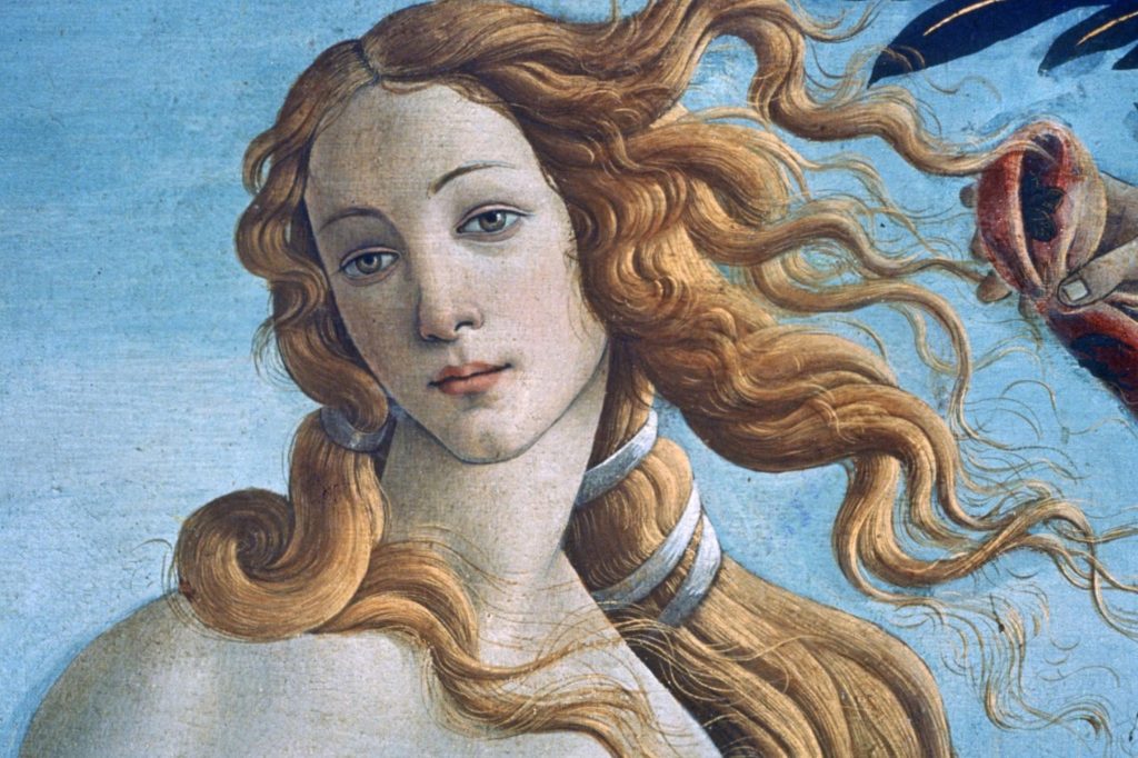 Tema 3: Entre el cielo y la tierra Renacimiento